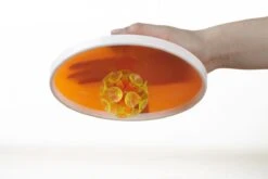 Wurf- & Fangspiel Mit Saugnapfball -Hoka Sports Gear Shop D3209 B02 ecommerce