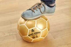 Trial® Fußball STREET -Hoka Sports Gear Shop F6013 B01 ecommerce