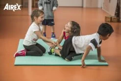 AIREX® Gymnastikmatte Diana -Hoka Sports Gear Shop G3802 B02 ecommerce