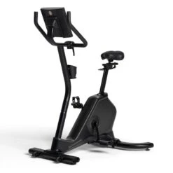 Schwinn® Ergometer 590U