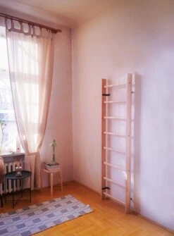 BenchK® Sprossenwand 100 12 BenchK® Sprossenwand 100 -Hoka Sports Gear Shop K2350 A03 ecommerce