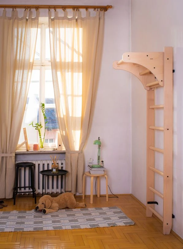 BenchK® Sprossenwand 111 Mit Klimmzugbügel 4 BenchK® Sprossenwand 111 Mit Klimmzugbügel - Image 2