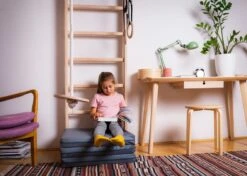 BenchK® Sprossenwand 111 Mit Klimmzugbügel, Seil Und Ringen 15 BenchK® Sprossenwand 111 Mit Klimmzugbügel, Seil Und Ringen -Hoka Sports Gear Shop K2352 A05 ecommerce