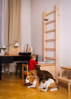 BenchK® Schreibtischauflage BT204 -Hoka Sports Gear Shop K2356 A05 ecommerce