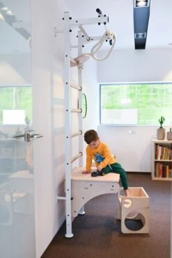 BenchK® Sprossenwand 522W Mit Klimmzugstange, Dip-Bügel, Seil & Ringen -Hoka Sports Gear Shop K2382 A02 ecommerce