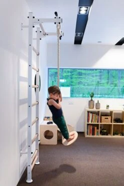 BenchK® Sprossenwand 522W Mit Klimmzugstange, Dip-Bügel, Seil & Ringen -Hoka Sports Gear Shop K2382 A04 ecommerce