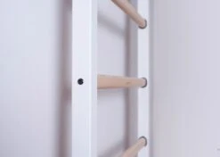 BenchK® Sprossenwand 522W Mit Klimmzugstange, Dip-Bügel, Seil & Ringen -Hoka Sports Gear Shop K2382 A08 ecommerce