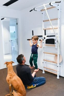 BenchK® Sprossenwand 522W Mit Klimmzugstange, Dip-Bügel, Seil & Ringen -Hoka Sports Gear Shop K2382 A09 ecommerce