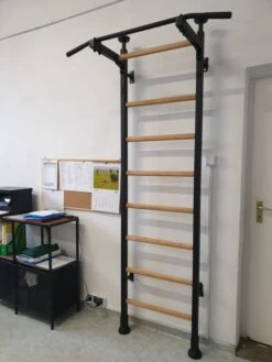 BenchK® Sprossenwand 521B Mit Klimmzugstange -Hoka Sports Gear Shop K2386 A09 ecommerce