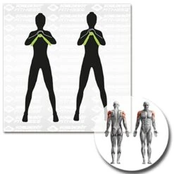 Schildkröt® Leg Trainer 22 Schildkröt® Leg Trainer -Hoka Sports Gear Shop K5305 A10 ecommerce