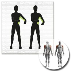 Schildkröt® Leg Trainer 23 Schildkröt® Leg Trainer -Hoka Sports Gear Shop K5305 A11 ecommerce