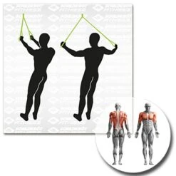 Schildkröt® Schlingentrainer 31 Schildkröt® Schlingentrainer -Hoka Sports Gear Shop K5308 A09 ecommerce