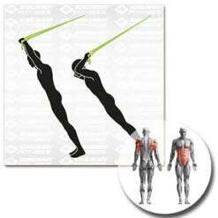 Schildkröt® Schlingentrainer 37 Schildkröt® Schlingentrainer -Hoka Sports Gear Shop K5308 A16 ecommerce