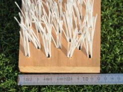 Polytan® Bürstenleiste Für ACS 120 Pflegegerät -Hoka Sports Gear Shop P5023 A02 ecommerce