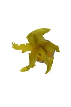 Federfußball Spiel-INN -Hoka Sports Gear Shop S7101 A05 ecommerce 1