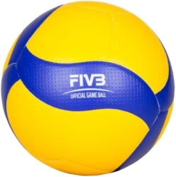 Mikasa® Volleyball V200W-DVV -Hoka Sports Gear Shop V16150 A03 ecommerce