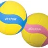 Mikasa® Volleyball VS170W
